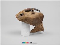 羌頭皮帽藏品圖，第16張